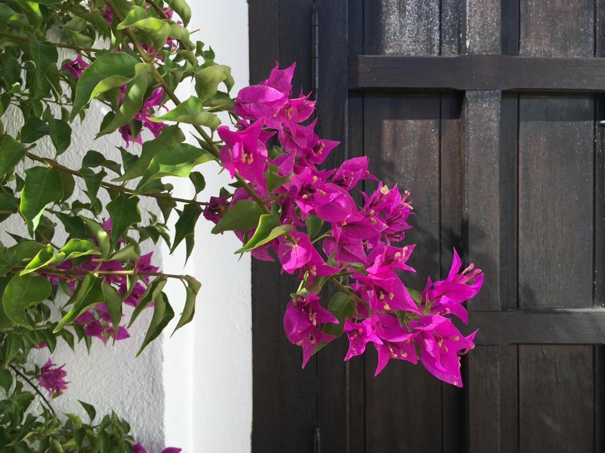 Villa De La Luz Luxury Guesthouse El Portil Eksteriør bilde